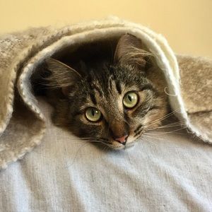 Meet your Posher, Ellen